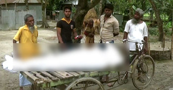 ধানক্ষেতে যুবকের মরদেহ