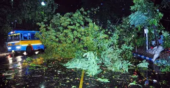 10 killed as twin storms hit West Bengal