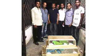 উদ্ধার হওয়া ২৮ পাখির জায়গা হলো বঙ্গবন্ধু সাফারি পার্কে