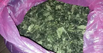 Bangladesh to ban ‘Khat’