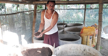 কেঁচো সারে বদলে গেছে পাইসুচিংয়ের ভাগ্য