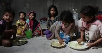 Rohingya refugees flee India amid panic over data-collection drive