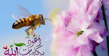 বিষাক্ত পোকা-মাকড় ও দুষ্টু লোকের আক্রমণ থেকে বাঁচার দোয়া