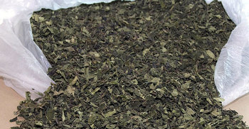 দেশে ‘খাত’ সিন্ডিকেটে ২১ প্রতিষ্ঠান