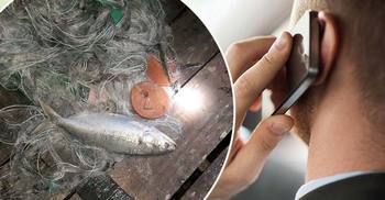 ফোনে ফোনেই বিক্রি হচ্ছে ইলিশ