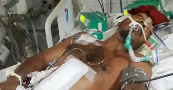 বাঁচলো না শফিকুল