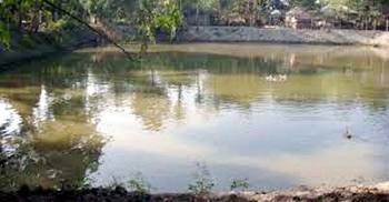 ভাইকে তুলতে গিয়ে ডুবে গেল ভাই