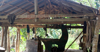 স মিলের চলন্ত করাতের ওপর পড়ে গেলেন মঞ্জু