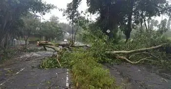 Cyclone Titli hits Odisha-Andhra coast