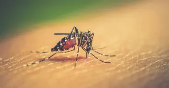 Woman dies of dengue in Satkhira