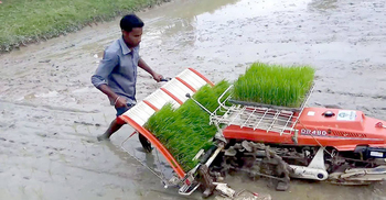 আধুনিক কৃষিতে সহায়তা করতে চায় বেলারুশ