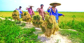 Data collection for Agriculture Census begins