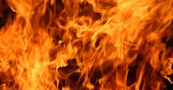 সানজিদার পর চলে গেলেন শামীমাও