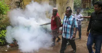 Govt allocates Tk 51.5 cr for eliminating mosquitoes