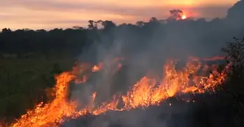 Blame humans for starting the Amazon fires, environmentalists say