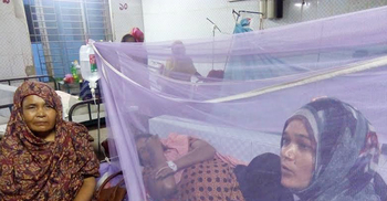 বরগুনায় ১০ ডেঙ্গু রোগী শনাক্ত