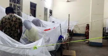 Dengue claims five more lives amid ‘improving situation’