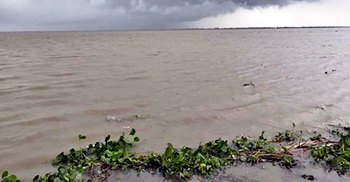 বগুড়ায় বিপৎসীমার ওপরে যমুনার পানি, নিম্নাঞ্চল প্লাবিত