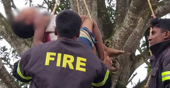 আম পাড়তে গিয়ে প্রাণ গেল সাগরের