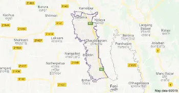 3 killed as cattle-laden truck overturns in Cumilla