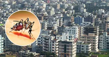 Failure to control mosquitoes, dengue irks HC