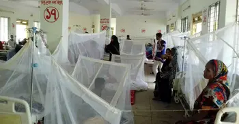 Dengue spreads to all 64 districts: DGHS