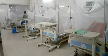 1,200 news dengue patients hospitalised in 24 hours
