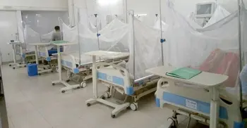 2 die of dengue in Dhaka, Chandpur