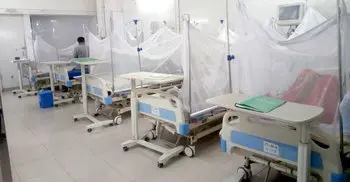 1,189 new dengue patients hospitalised in 24 hrs; official death toll 52