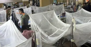 Dengue claims two more lives in Chattogram, Khulna