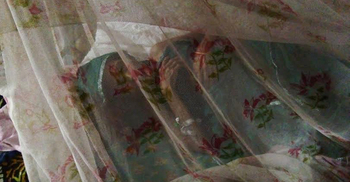 কুমিল্লায় ডেঙ্গুতে আক্রান্ত ১৩ জন হাসপাতালে চিকিৎসাধীন