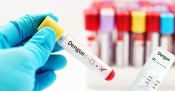 রংপুরে কিট সংকটে ডেঙ্গু শনাক্তকরণ পরীক্ষা বন্ধ