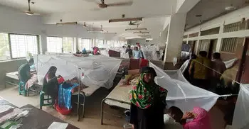 Housewife dies of dengue in Satkhira