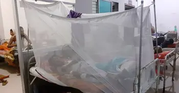 2 more dengue patients die in Barishal, Dhaka