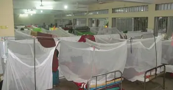 Two people die of dengue in Khulna, Mymensingh