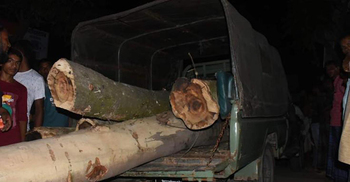 চালককে নিজ জিম্মায় নিলেন ডিএফও, হয়নি মামলা