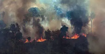 Brazil rejects G7 aid for Amazon fires