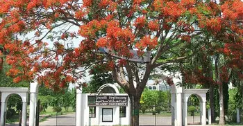 IU Al-Fiqh dept gets new chairman