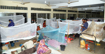 যশোরে শতাধিক ডেঙ্গু রোগী, চিকিৎসা দিতে হিমশিম
