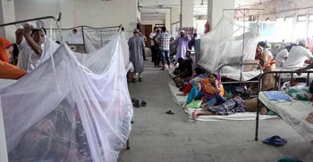 রাজবাড়ীতে বাড়ছে ডেঙ্গু রোগী