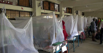 কিশোরগঞ্জে ডেঙ্গুতে আক্রান্ত ১১১, হাসপাতালে ভর্তি ৪৭