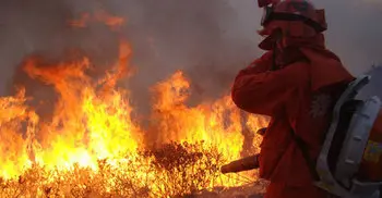 26 firefighters die battling China forest fire