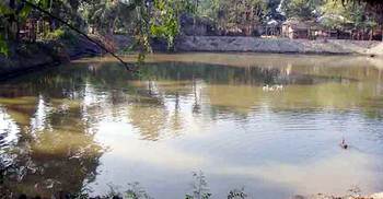 বাবা-মা যে যার কাজে, ডুবে মরল ছেলে