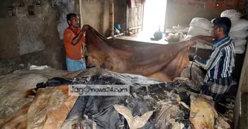 BGB on alert to prevent illegal rawhide export thru Hili land port