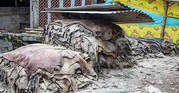 Hell for Leather
