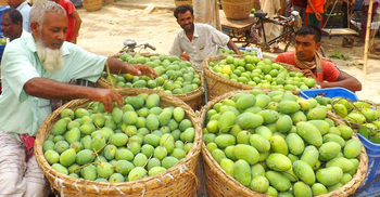 বাজারের আমে ফরমালিন নেই