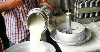 Who is selling milk, yogurt without licence?