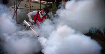 No need to spray ineffective insecticide: Quader