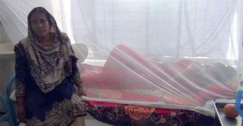 নওগাঁয় ১১ ডেঙ্গু রোগী শনাক্ত