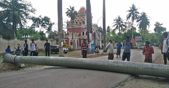 ঝড়ের সময় আম কুড়াতে গিয়ে শিশুর করুণ মৃত্যু
